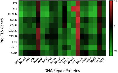 Cutaneous Melanoma: Mutational Status and Potential Links to Tertiary Lymphoid Structure Formation